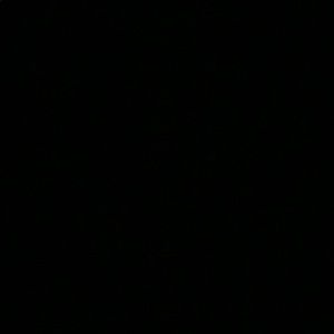 Meet your Posher, Caden